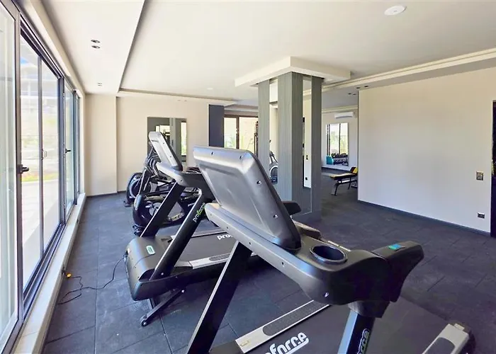 45 شقة ألانيا